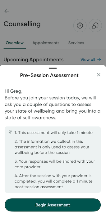 The pre session assessment reminder before joining a voice appointment.